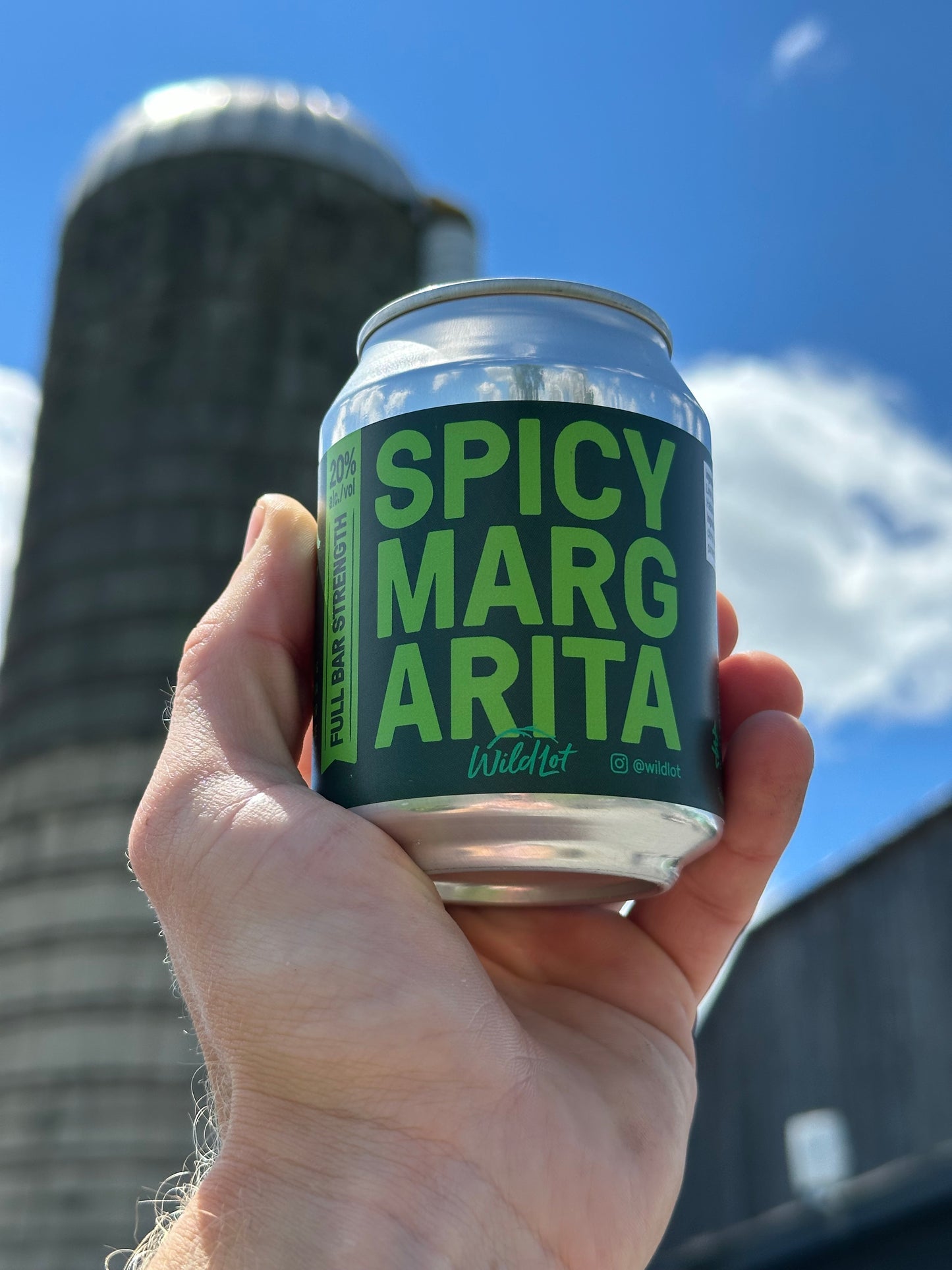 Stubby Can - Spicy Margarita (20% ABV, 2 Perfect Pours)