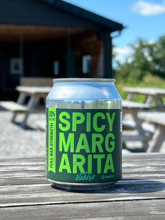 Stubby Can - Spicy Margarita (20% ABV, 2 Perfect Pours)