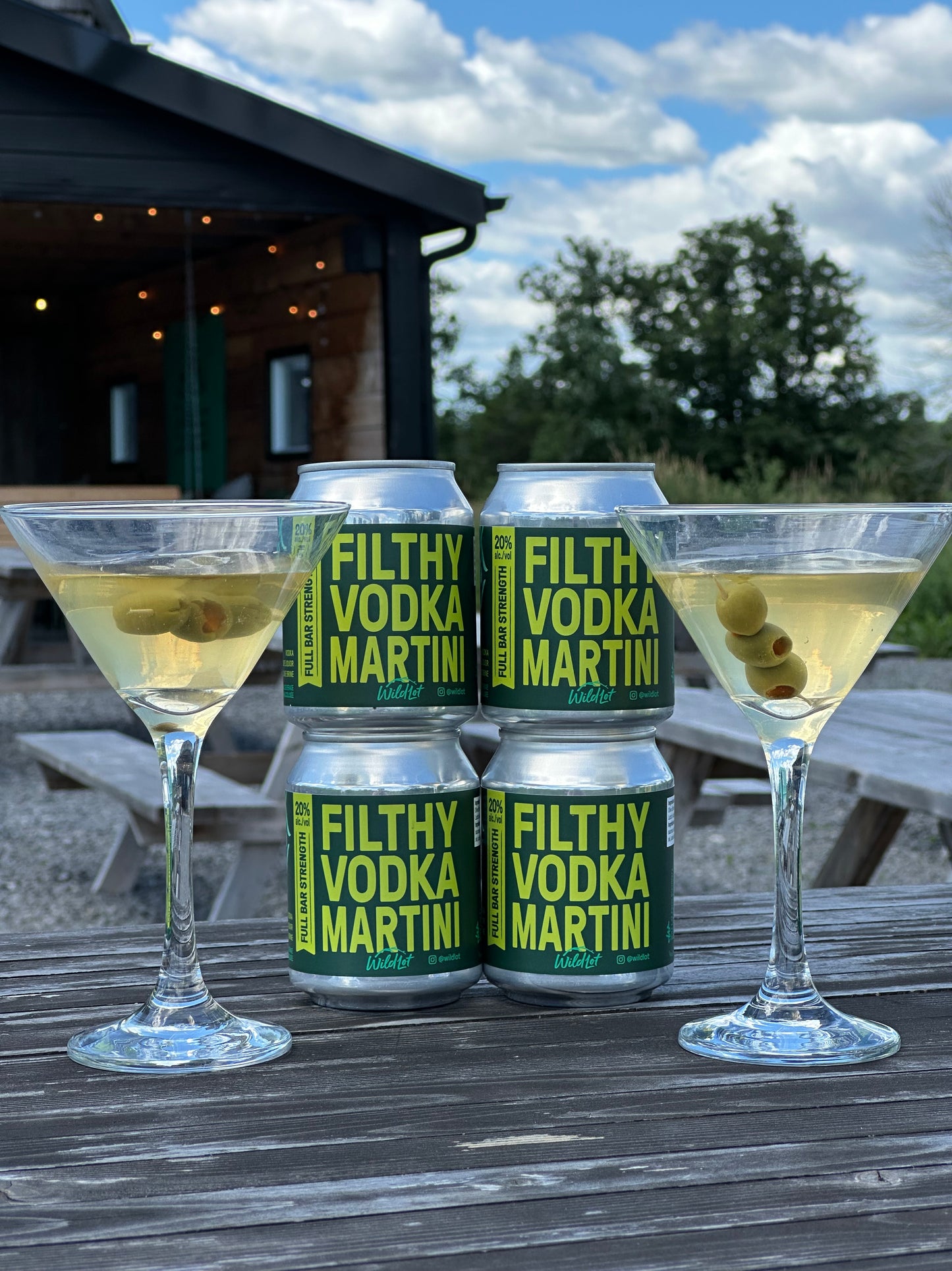 Stubby Can - Filthy Vodka Martini (20% ABV, 2 Perfect Pours)