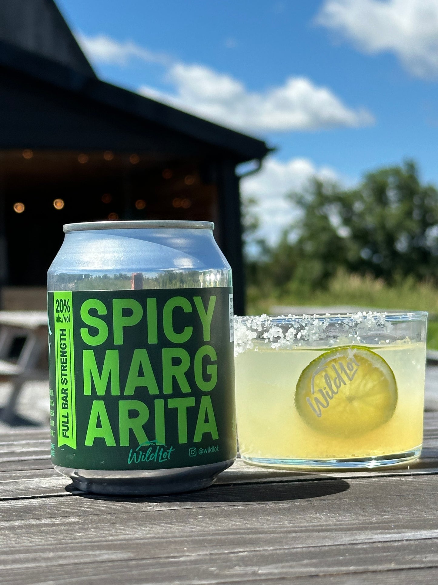 Stubby Can - Spicy Margarita (20% ABV, 2 Perfect Pours)