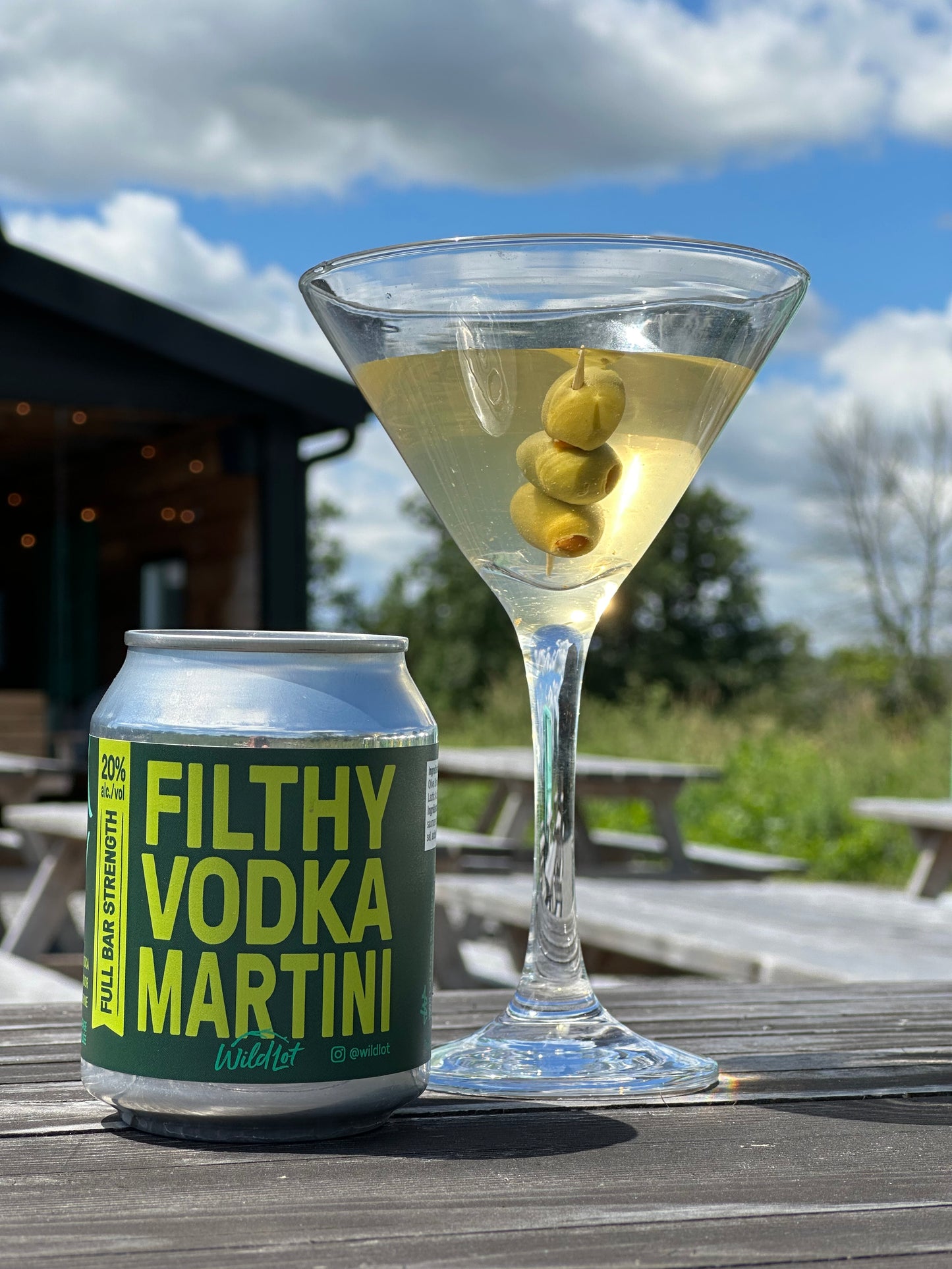 Stubby Can - Filthy Vodka Martini (20% ABV, 2 Perfect Pours)